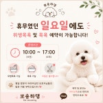 뽀송하댕