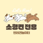 더왈츠 앤 조이피아 강서