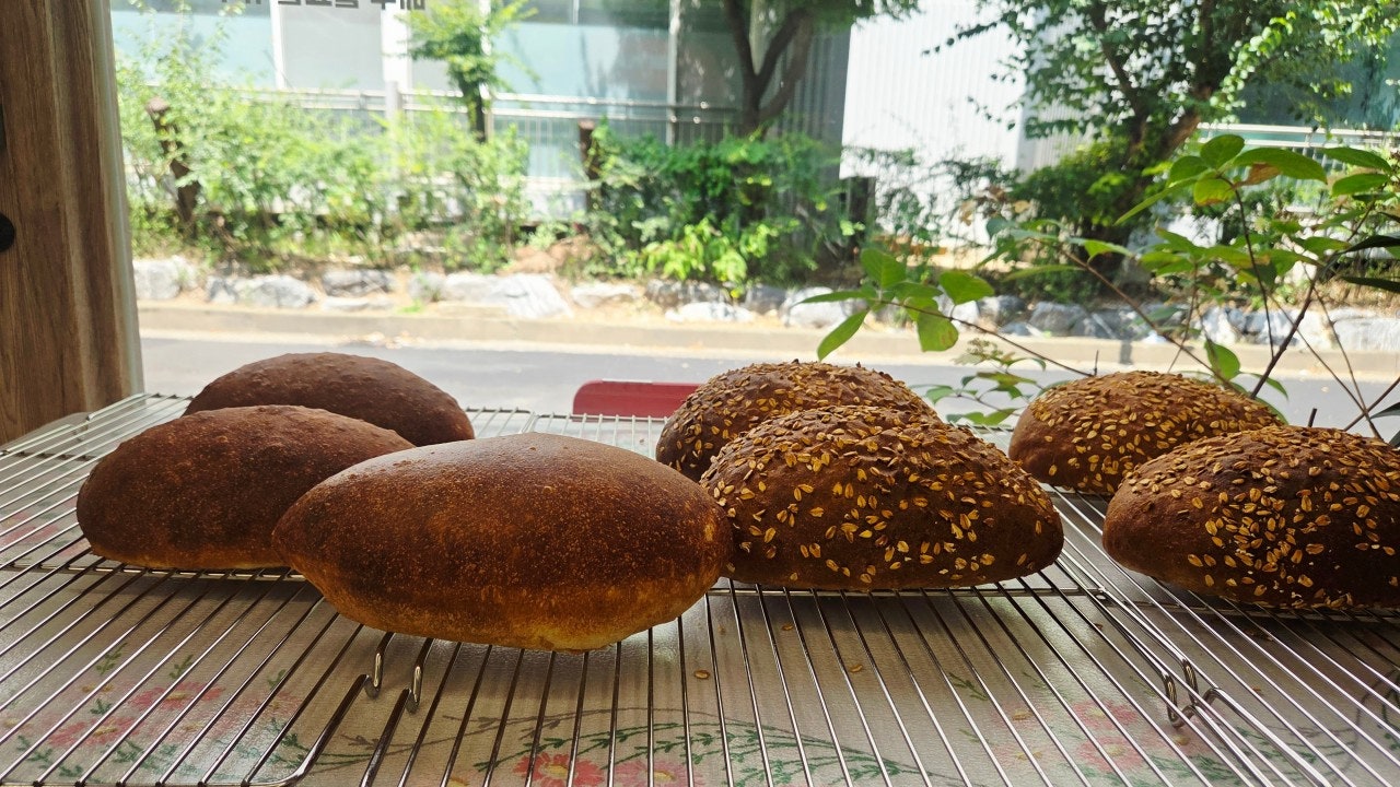 베지 플레이트