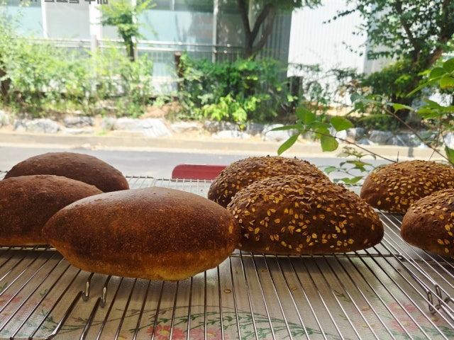 베지 플레이트