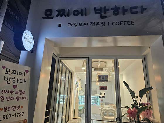 모찌에 반하다 사진