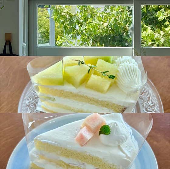 카페여름 사진