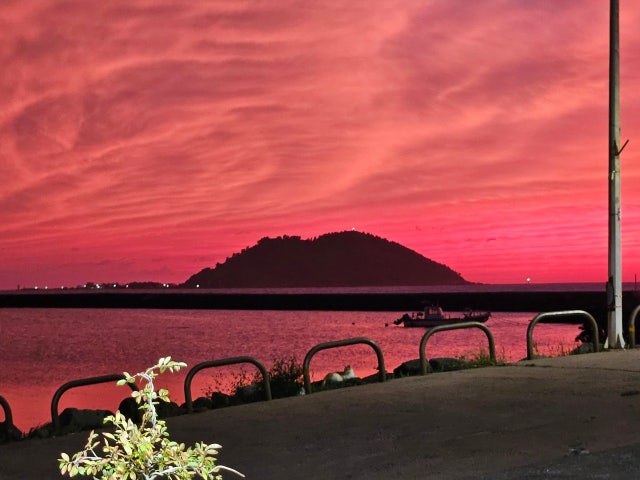 톤대섬 흑돼지