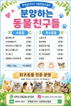 펫엔글라이더 서울목동신월점
