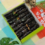 막뚱이꼬마김밥 금호점