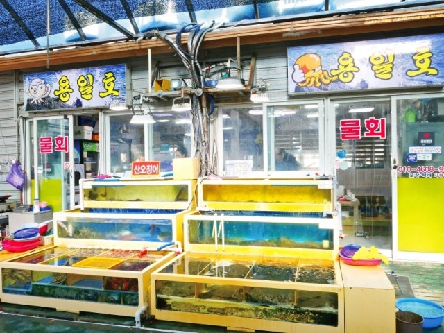 용일호횟집