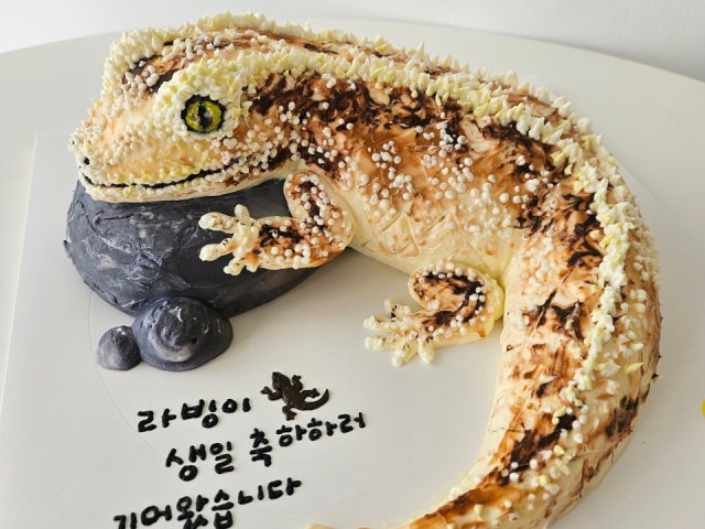 오전의케이크