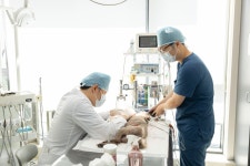 24시동탄윌동물의료센터