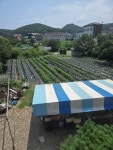 해송민박