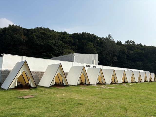 오프리쉬 독파크