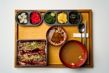 꼬리치는장어