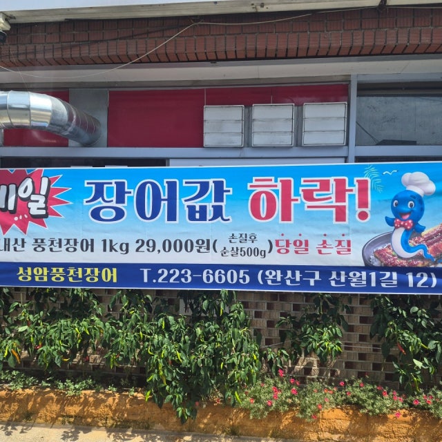 성암풍천민물장어구이 장어,먹장어요리 대표 사진