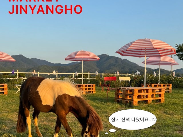 마켓진양호 생비량점