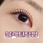하울라스틱