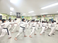 용호태권도