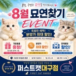 대구고양이분양 퍼스트캣 대구점