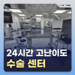 24시 서울YES동물병원