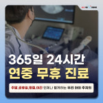 24시 서울YES동물병원