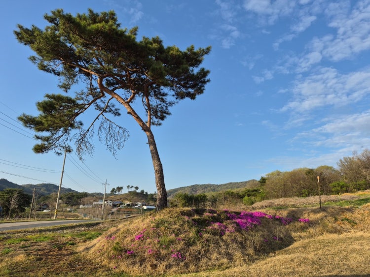 새빛교회 사진 5
