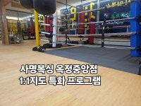 사명복싱 옥정중앙점