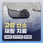 24시 서울YES동물병원