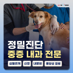 24시 서울YES동물병원