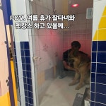 올리스24셀프펫워시엔호텔