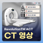24시 서울YES동물병원