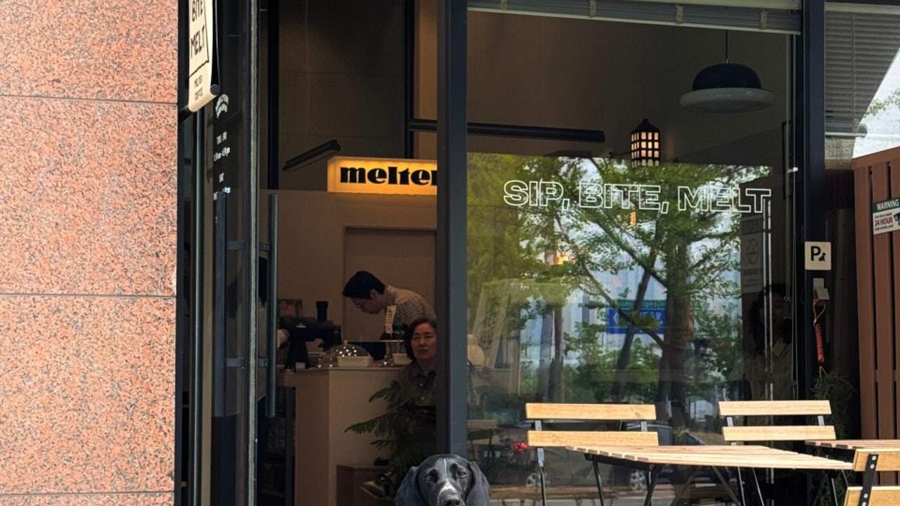 멜터커피