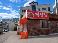 대성장