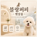 블랑퍼피 펫살롱