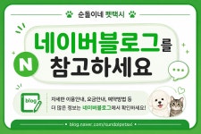 순돌이네펫택시