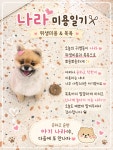 커들리독