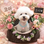 광릉내애견