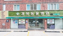 강북동물병원