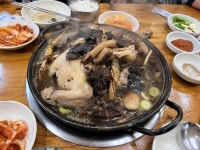 백두대간