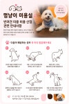 멍냥이미용실