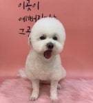멍그라미