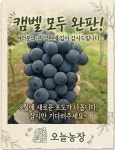 오늘농장