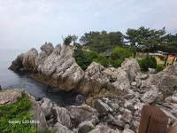 연당