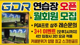 수크린골프