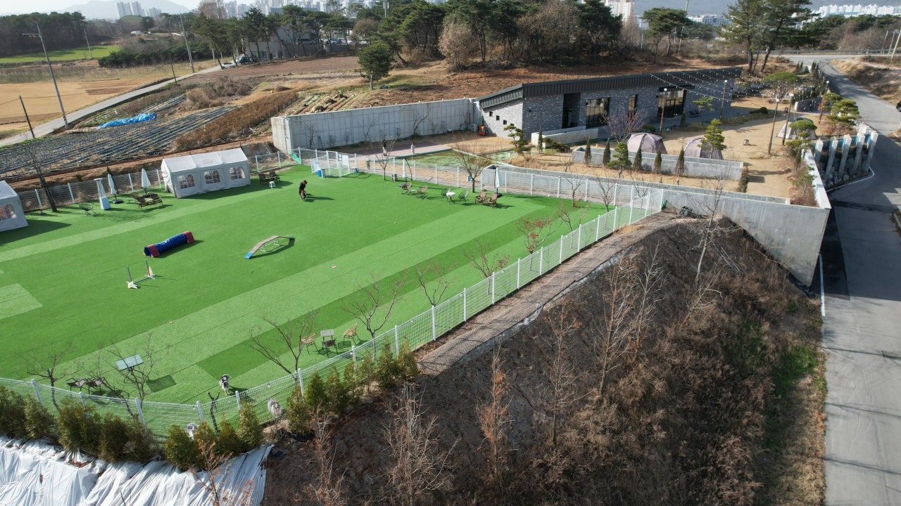 카페 노마드
