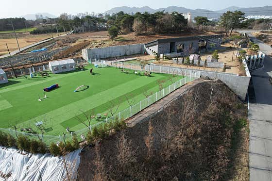 카페 노마드 사진