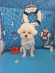 몽실묭실