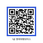 현대대명모터스