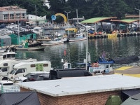 윤호민박