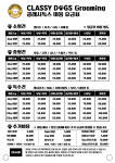 클래시독스 구월점