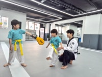 용인대마스터태권도