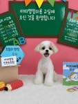아따멍멍 미용앤호텔 인천논현점