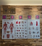 내몸에약손안마원